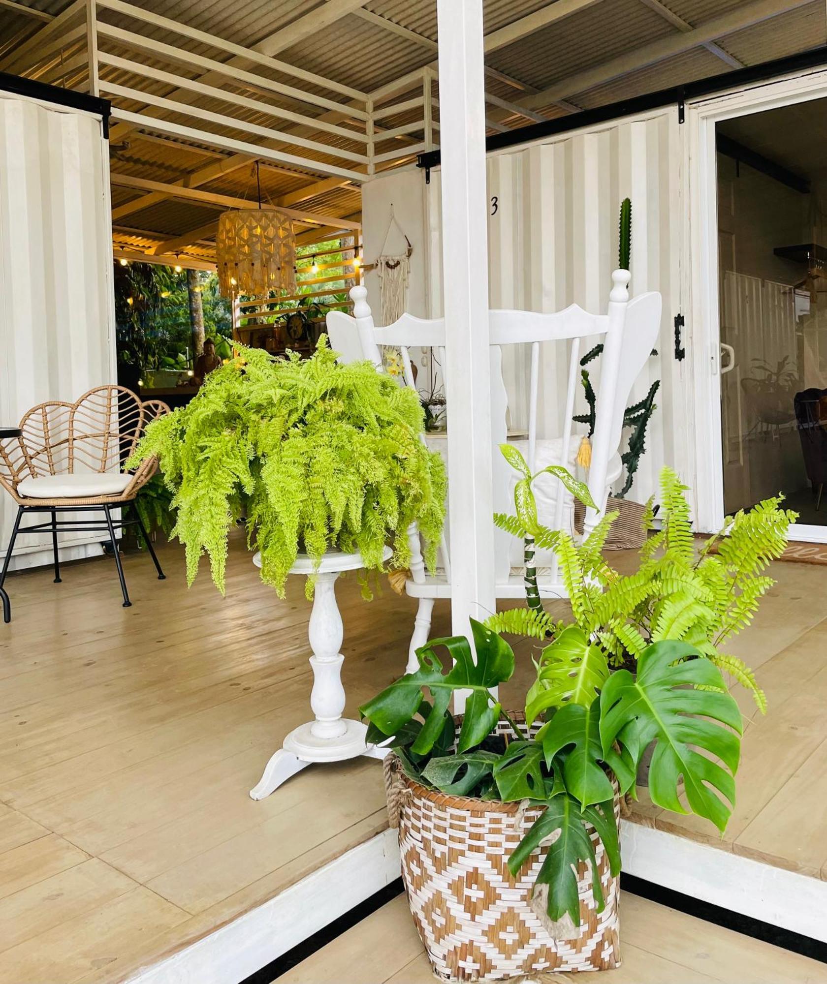 Casa Luce Bed & Breakfast Puerto Viejo de Talamanca Eksteriør bilde
